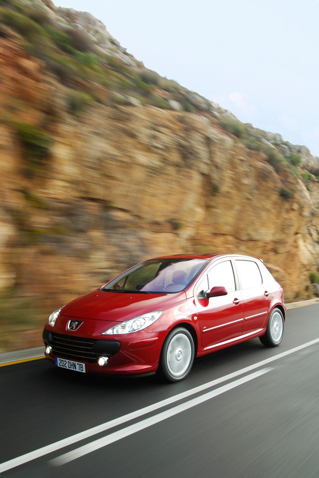 Peugeot 307 5 Doors photo 20