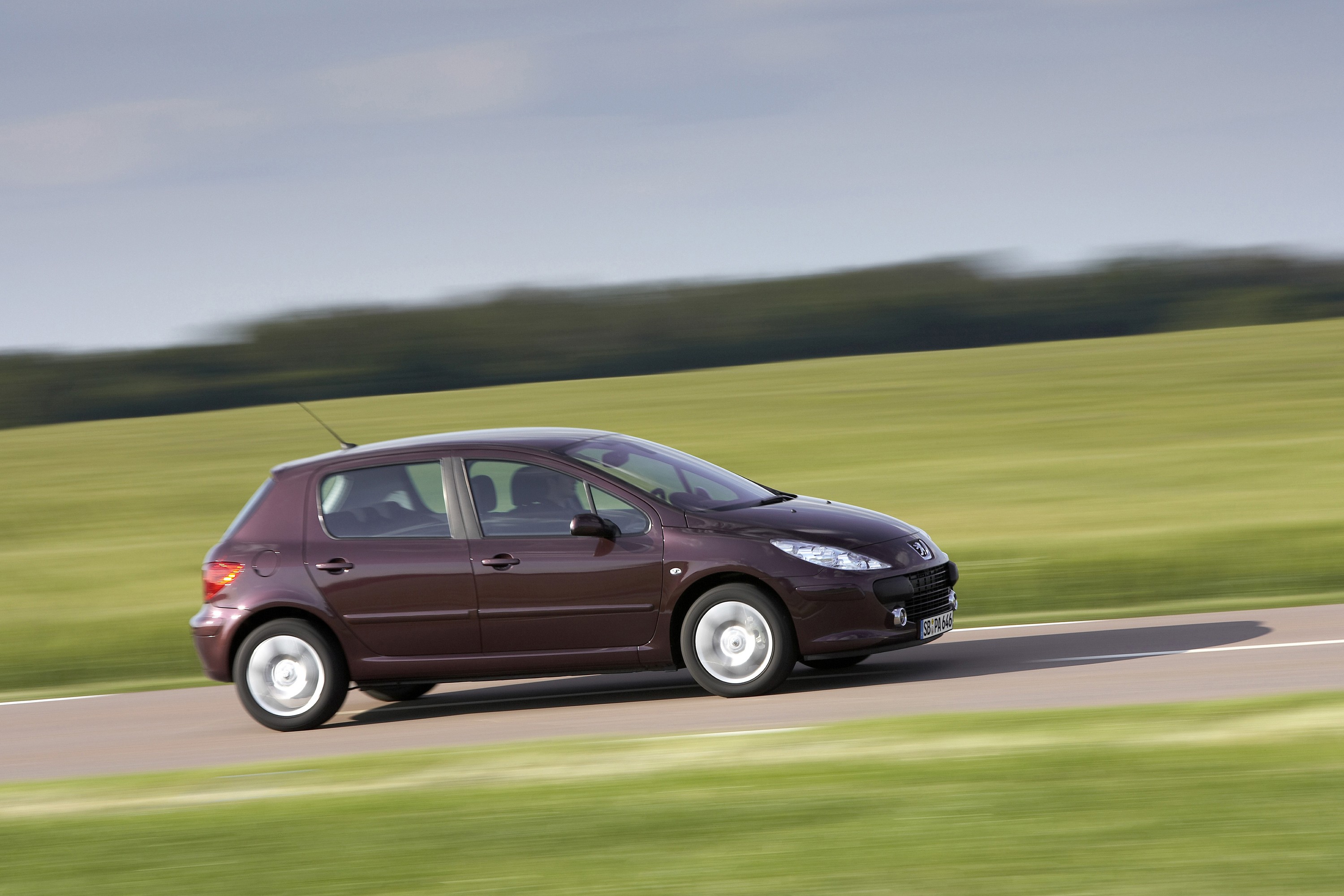 Peugeot 307 5 Doors photo 21