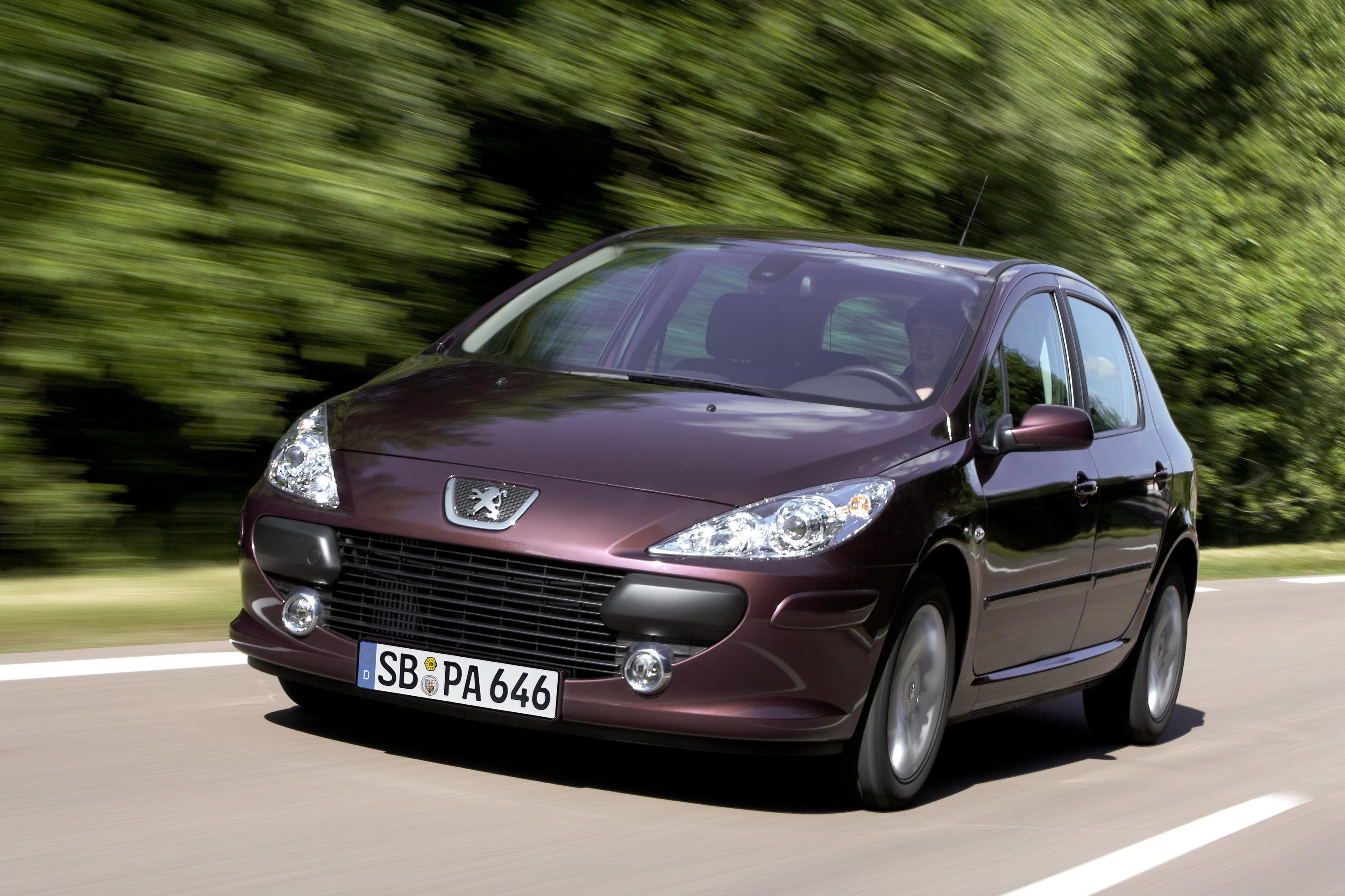 Peugeot 307 5 Doors photo 23
