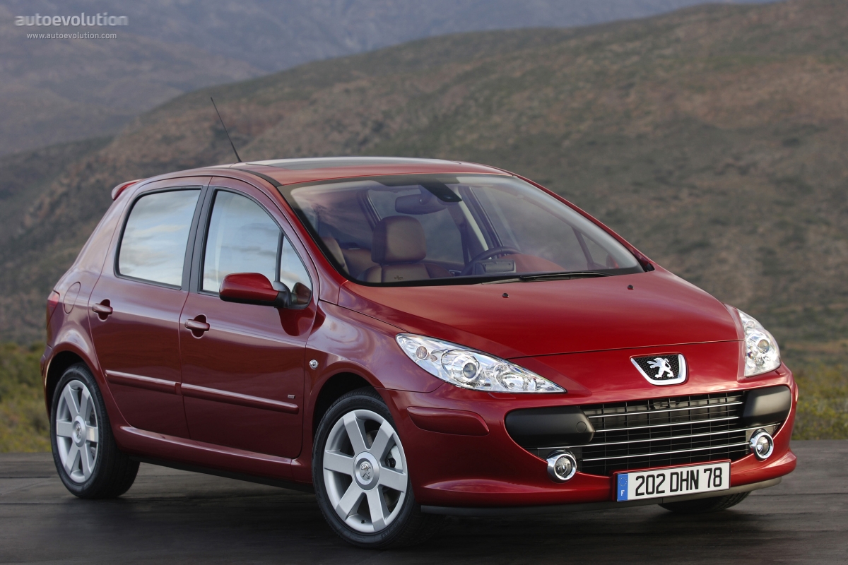 Peugeot 307 5 Doors photo 3
