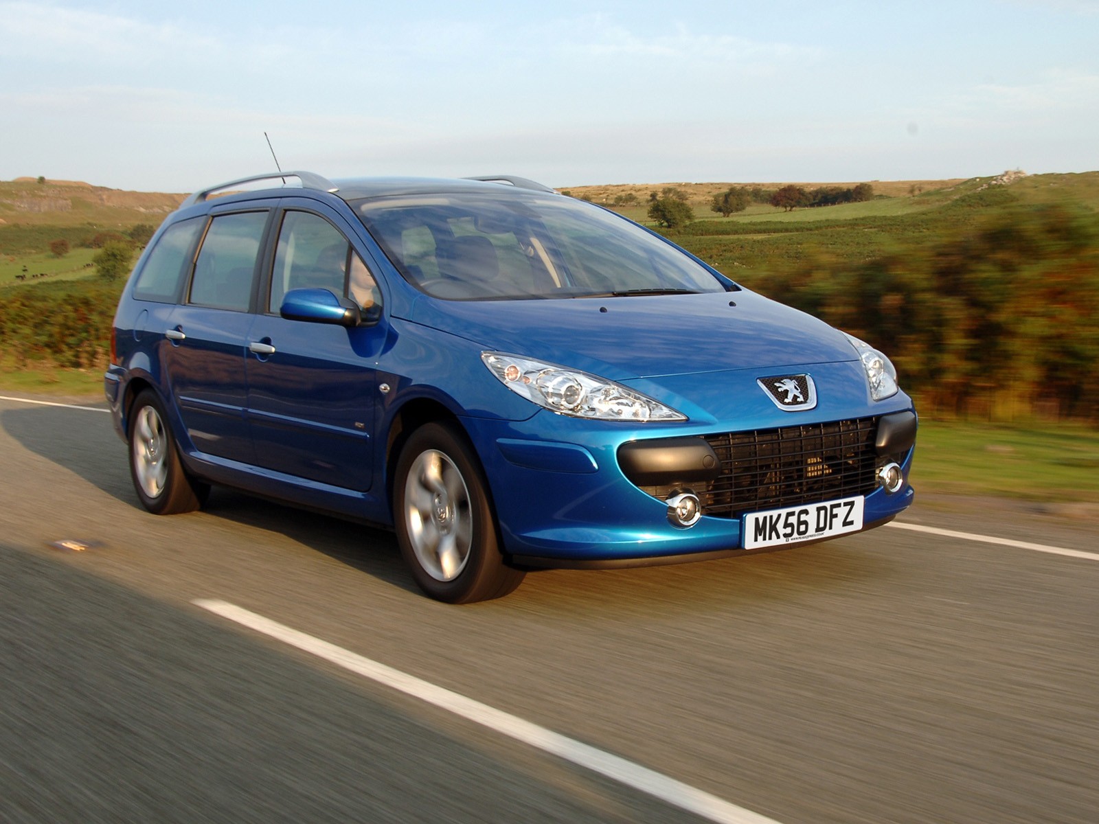 Peugeot 307 Sw photo 10