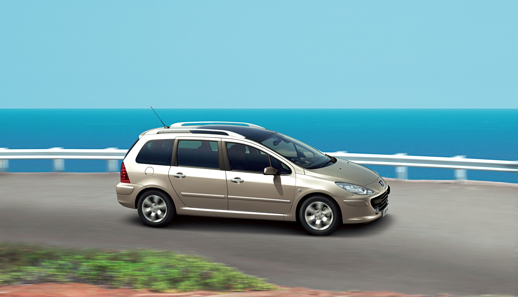 Peugeot 307 Sw photo 12