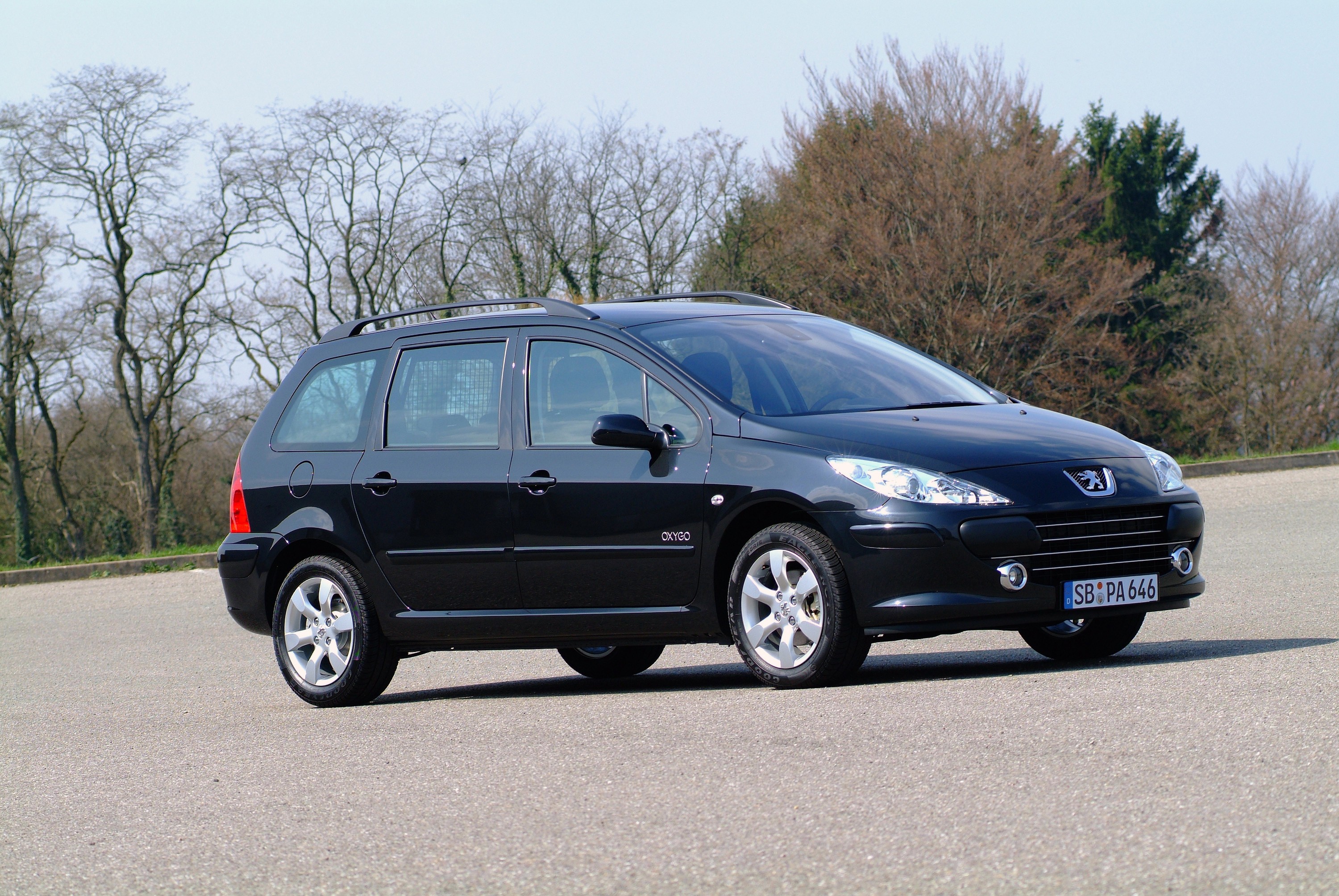 Peugeot 307 Sw photo 25