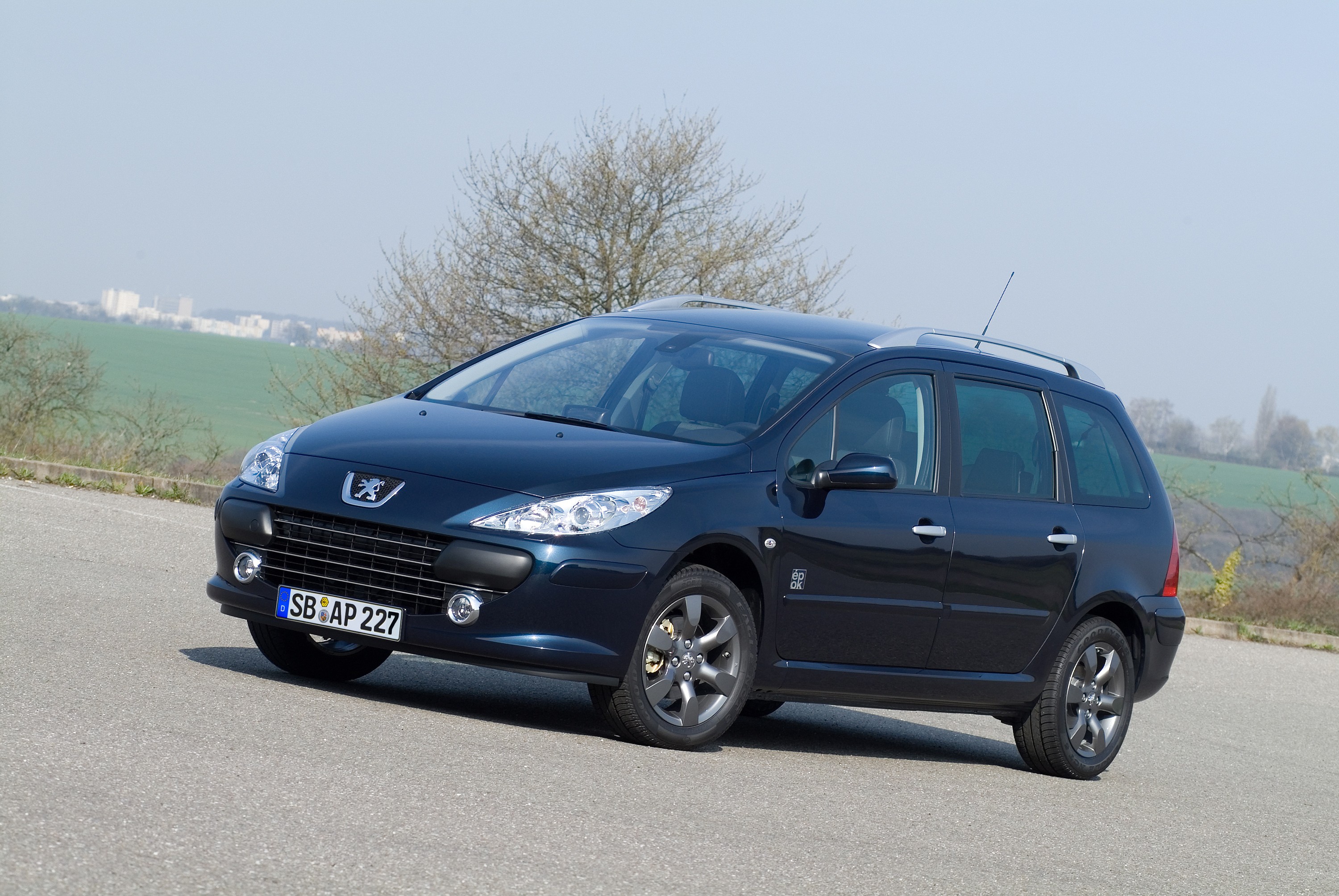 Peugeot 307 Sw photo 28