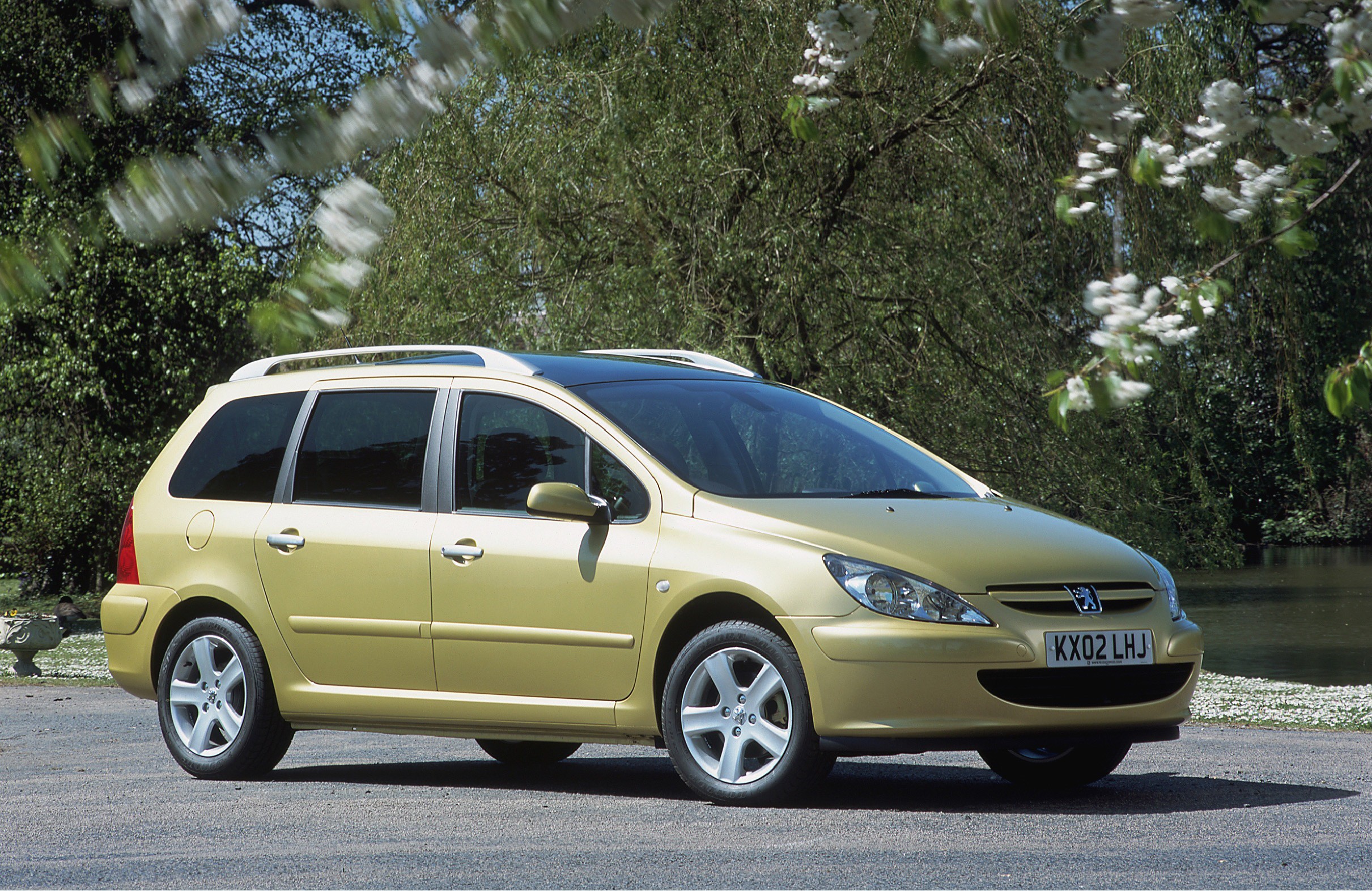 Peugeot 307 Sw photo 14