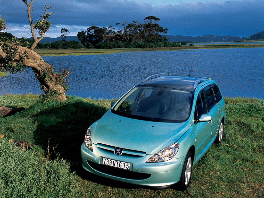 Peugeot 307 Sw photo 18