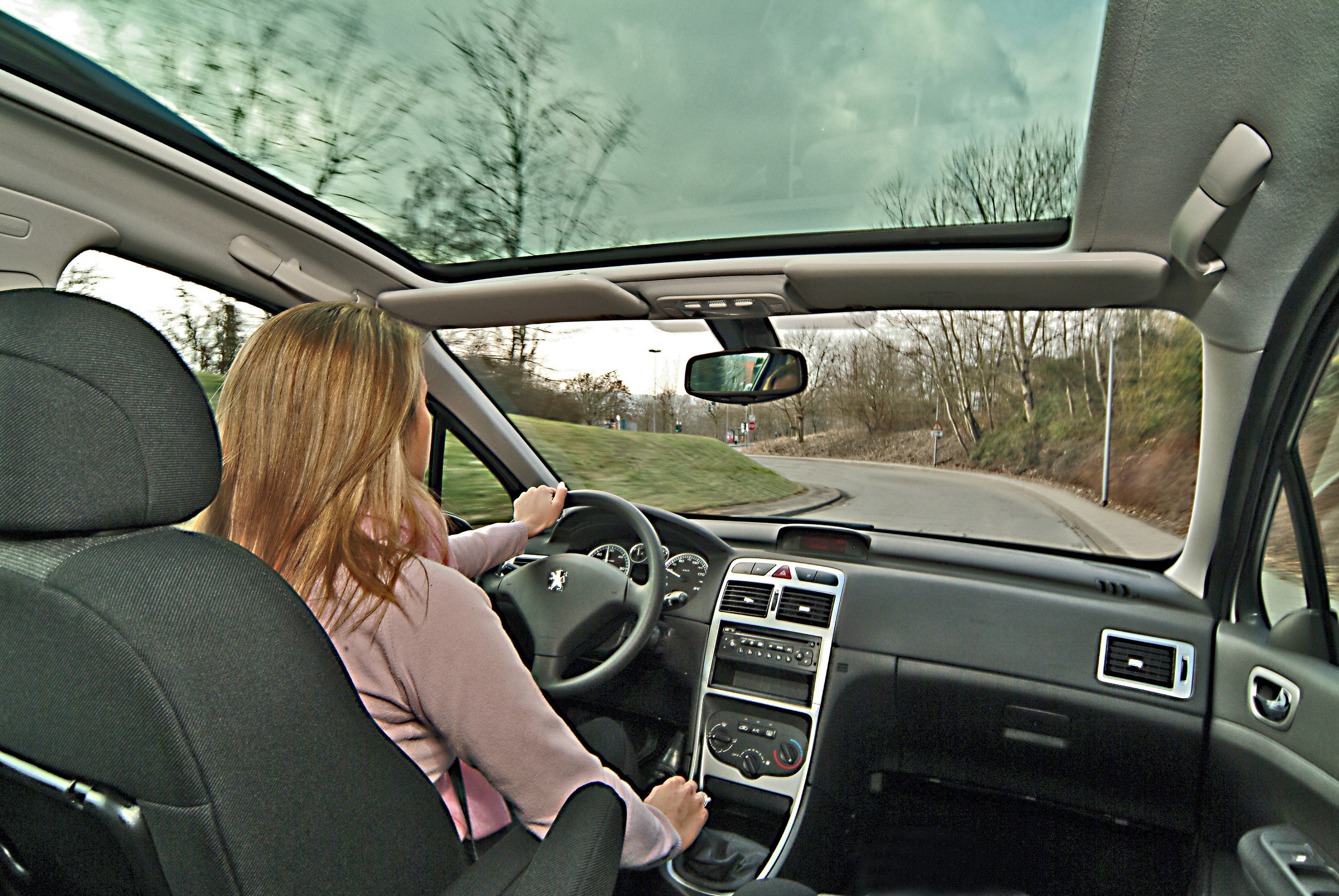 Peugeot 307 Sw photo 46