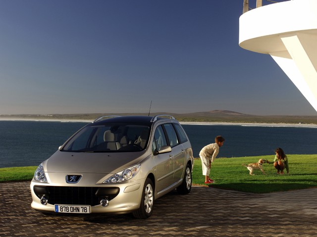 Peugeot 307 Sw photo 25