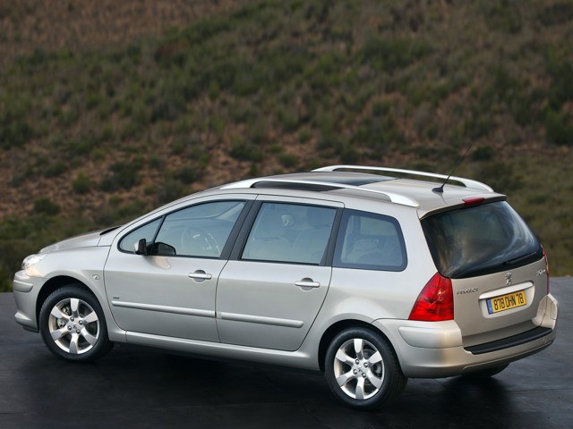 Peugeot 307 Sw photo 28