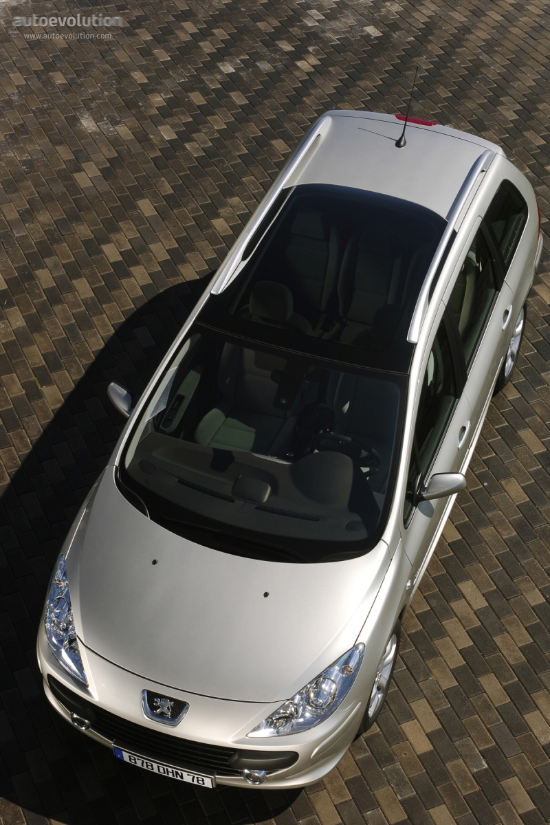 Peugeot 307 Sw photo 7