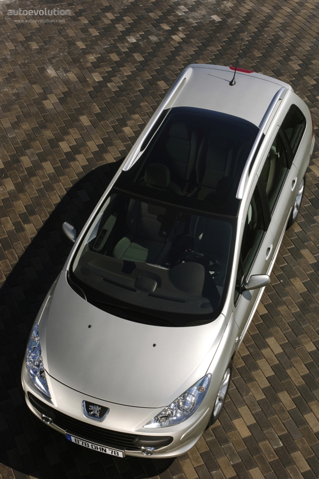 Peugeot 307 Sw photo 7
