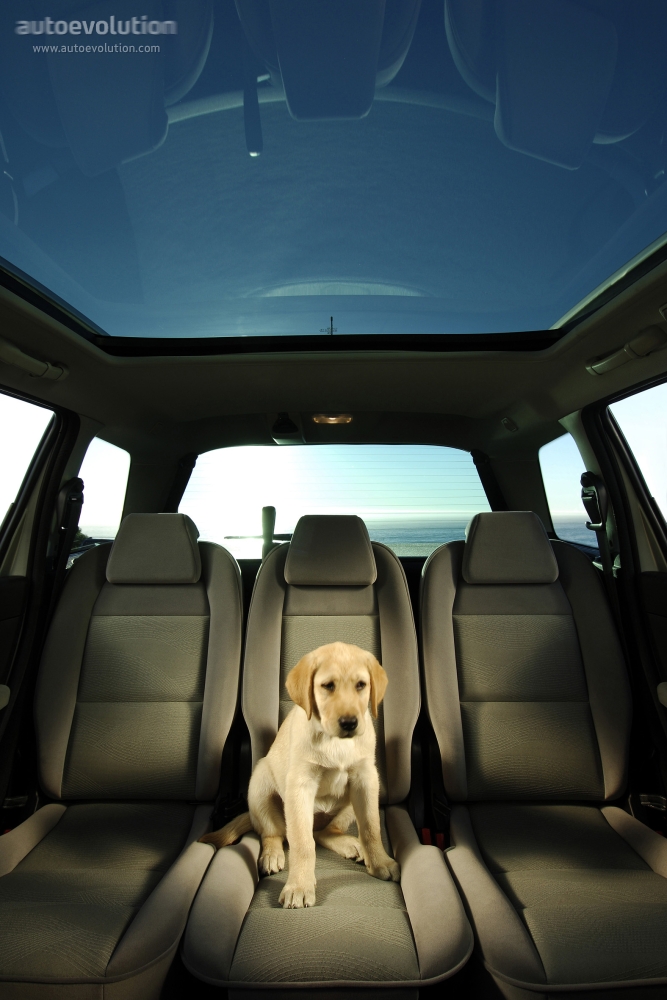 Peugeot 307 Sw photo 37