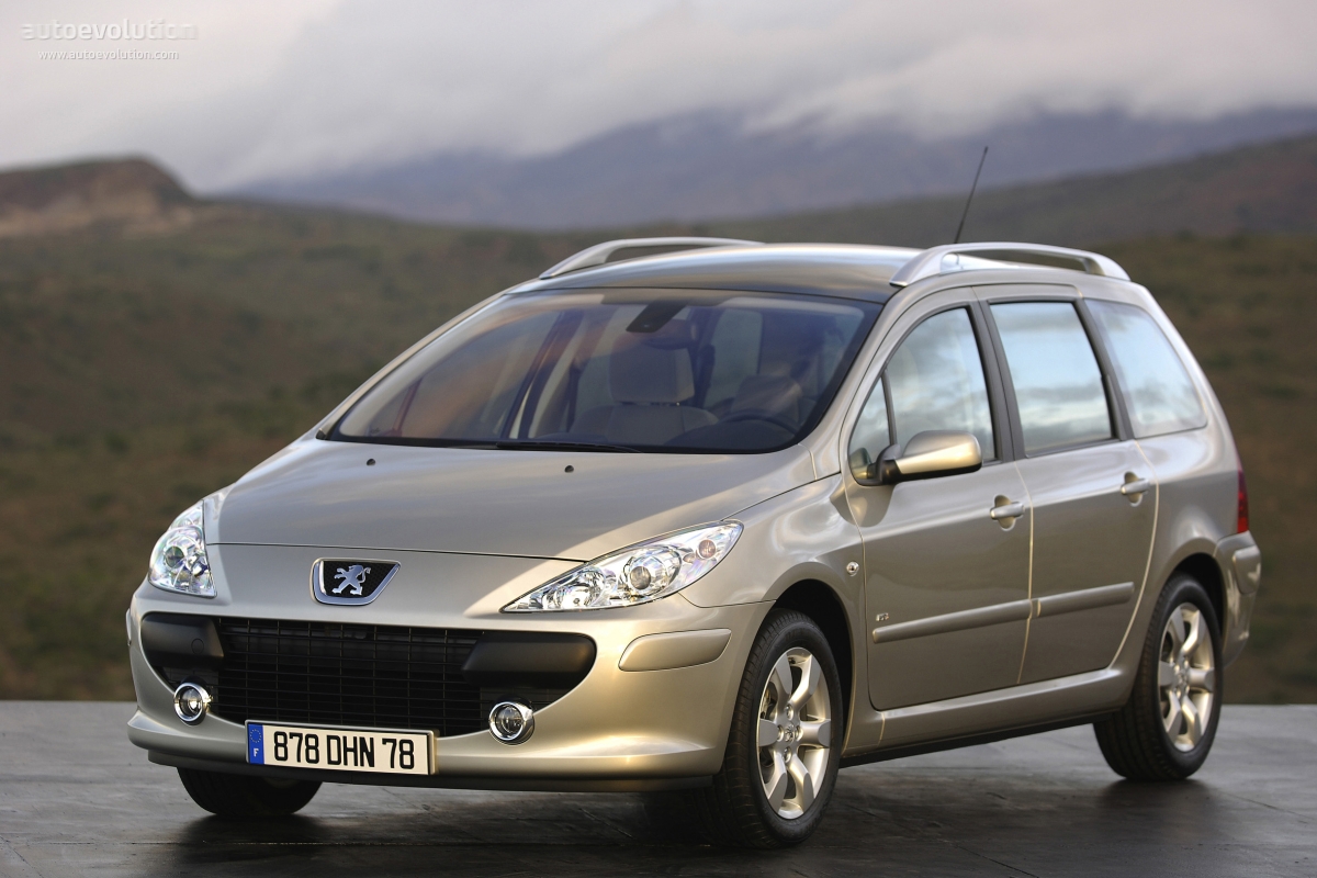 Peugeot 307 Sw photo 2