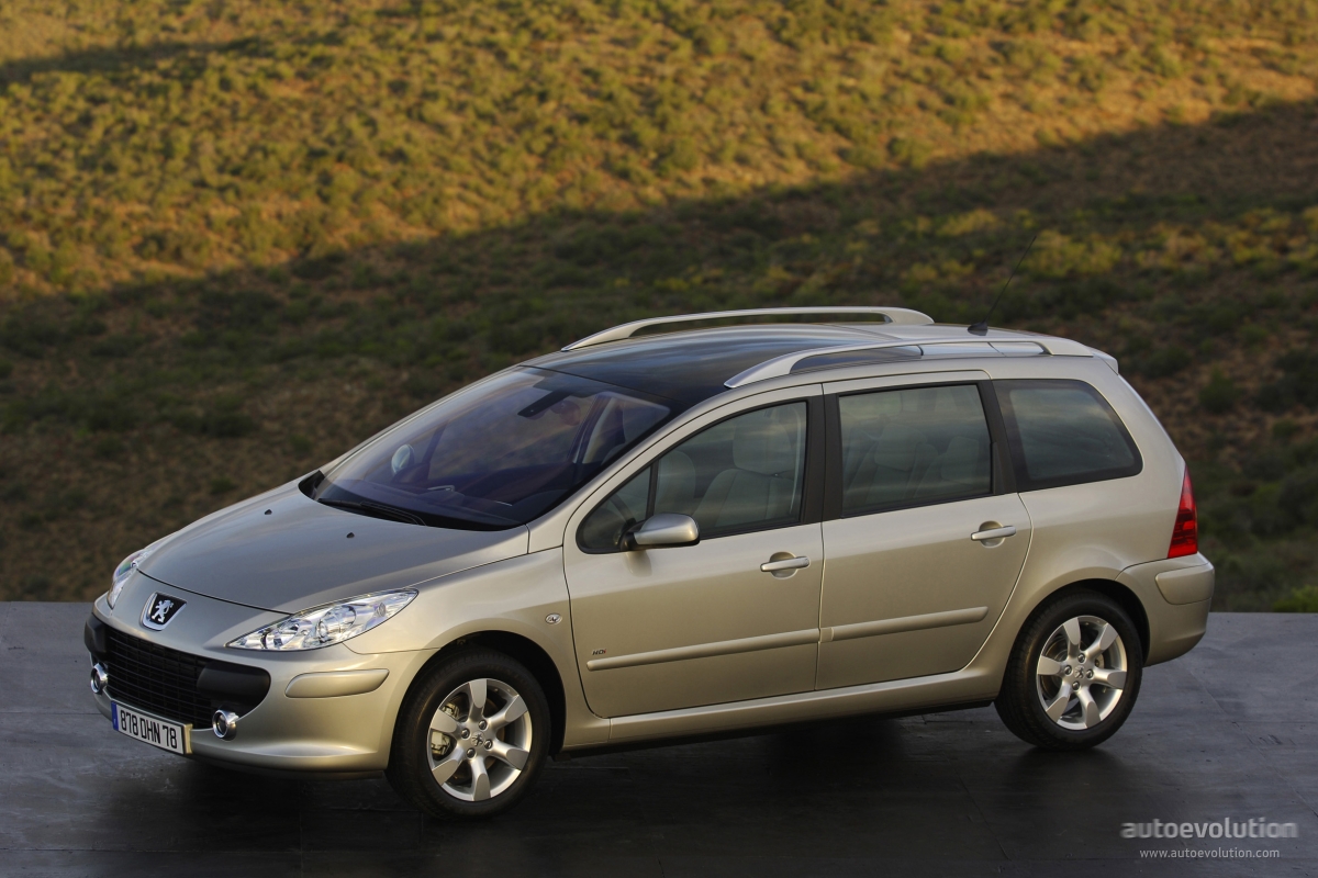 Peugeot 307 Sw photo 3