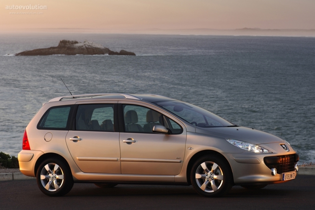 Peugeot 307 Sw photo 6