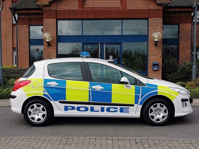 Peugeot 308 5 Doors photo 13