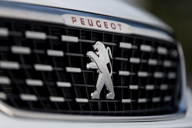 Peugeot 308 5 Doors photo 24