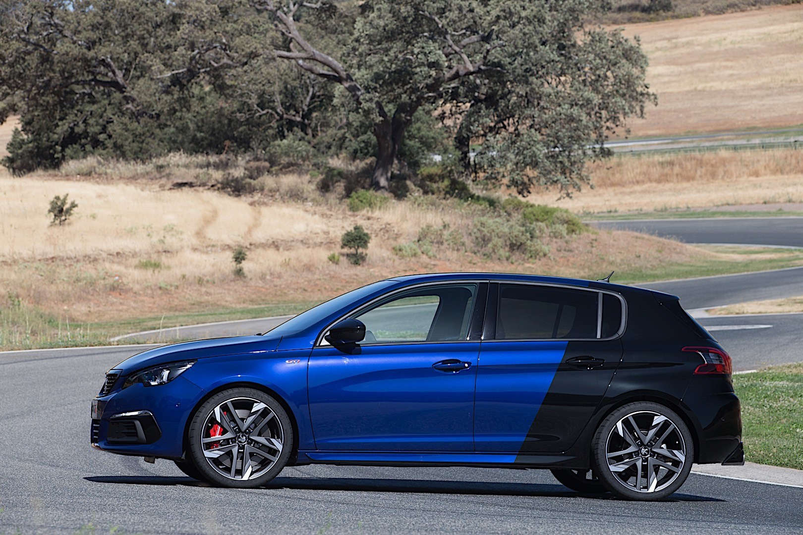 Peugeot 308 5 Doors photo 17