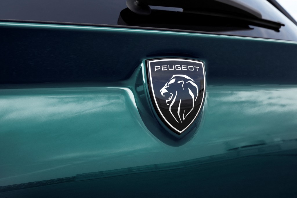 Peugeot 308 Sw photo 18