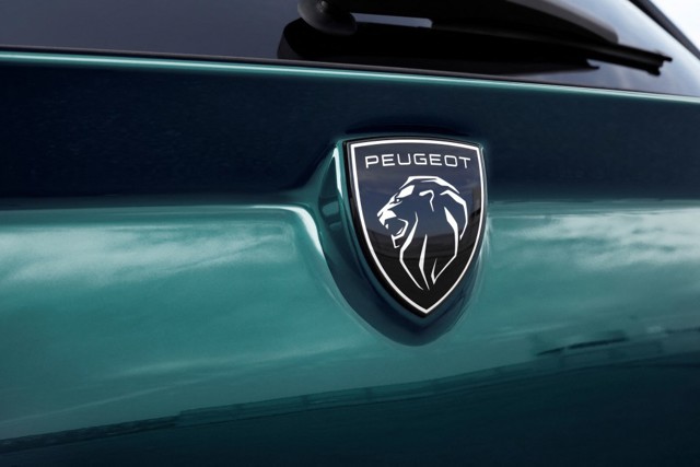 Peugeot 308 Sw photo 18