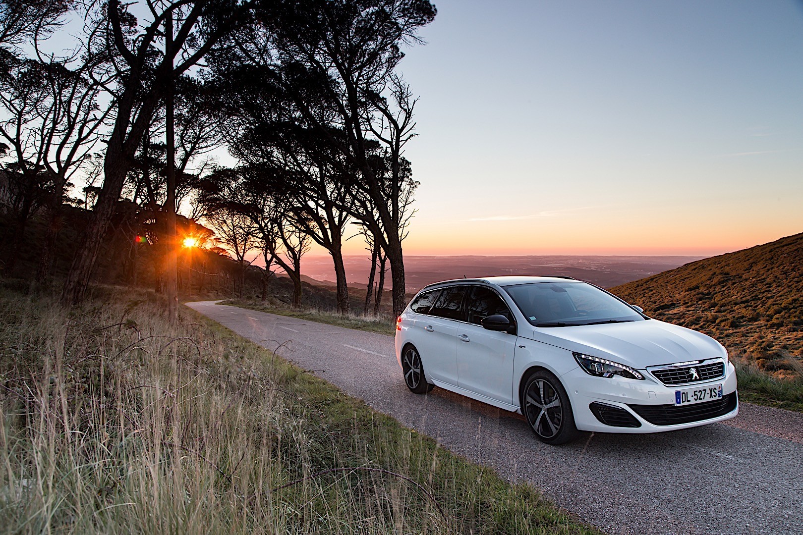 Peugeot 308 Sw photo 9