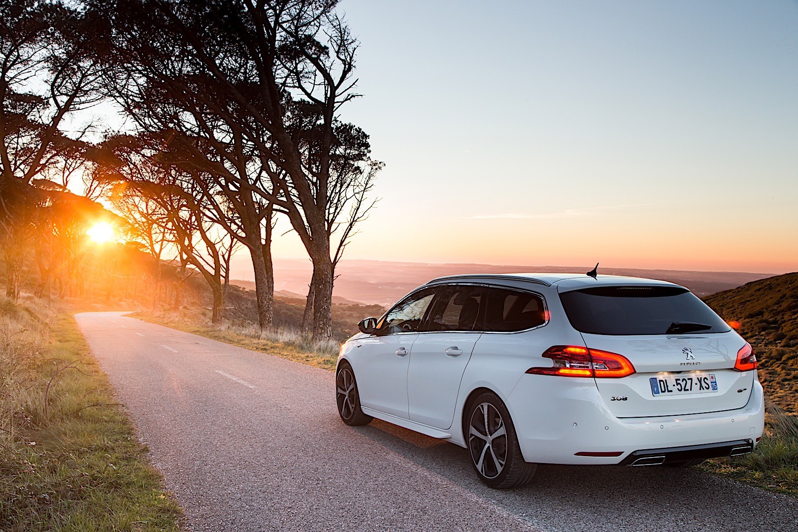 Peugeot 308 Sw photo 22