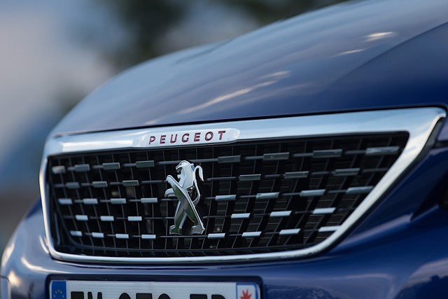 Peugeot 308 Sw Foto 13