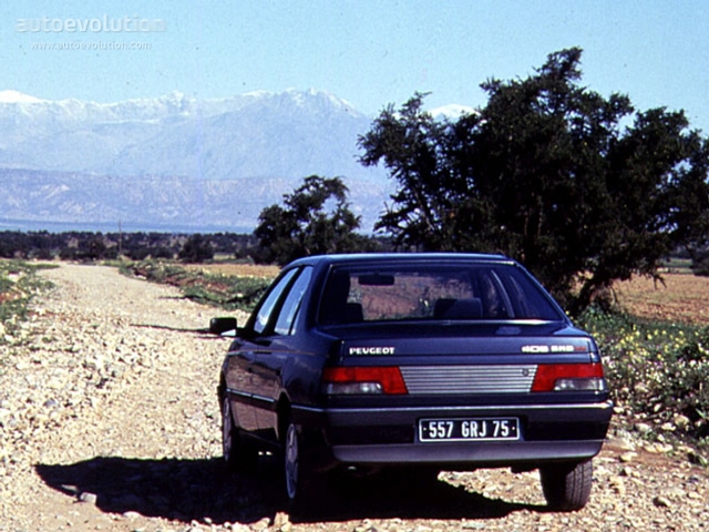Peugeot 405 Foto 3