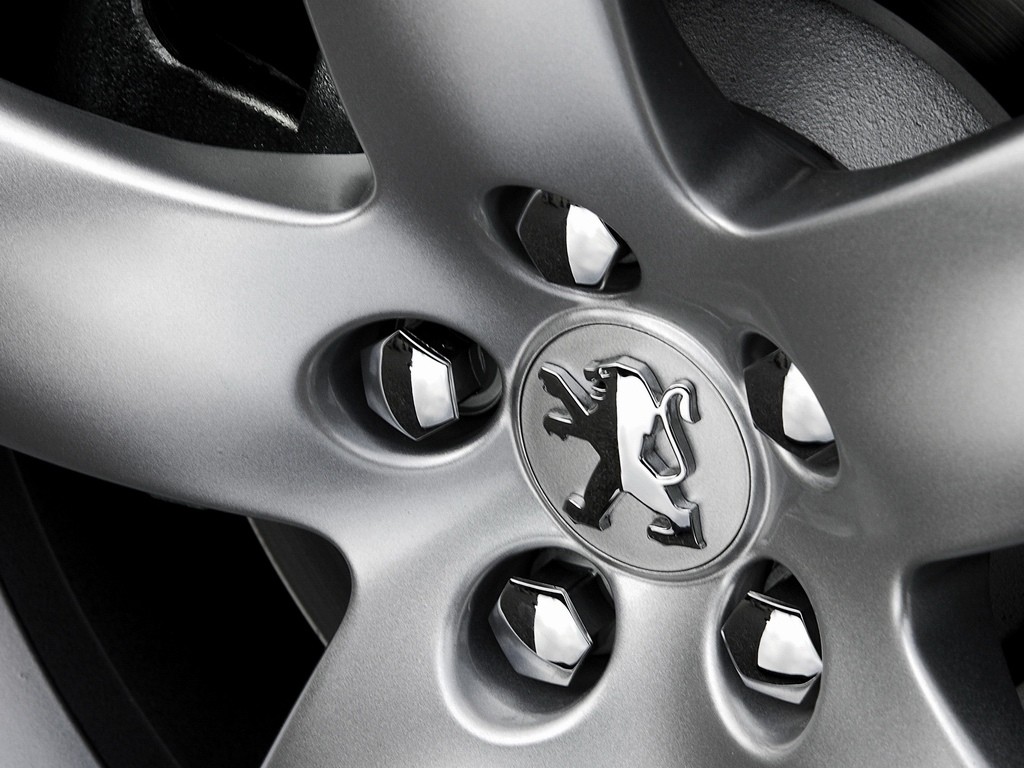 Peugeot 407 Coupe photo 22