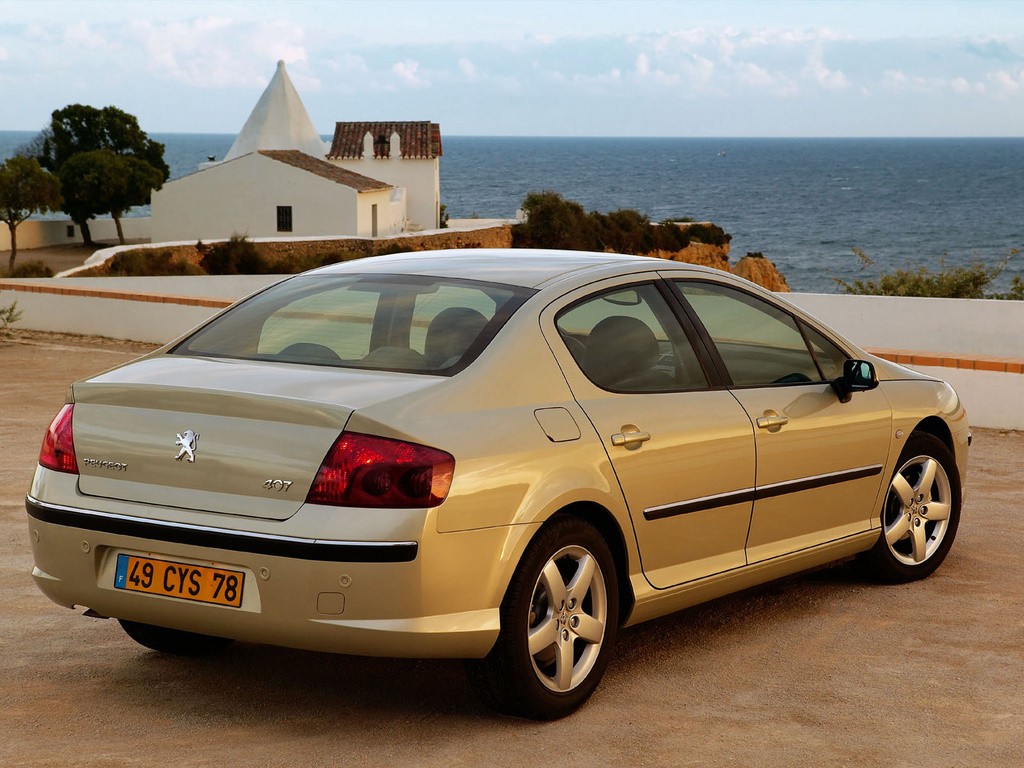 Peugeot 407 photo 21