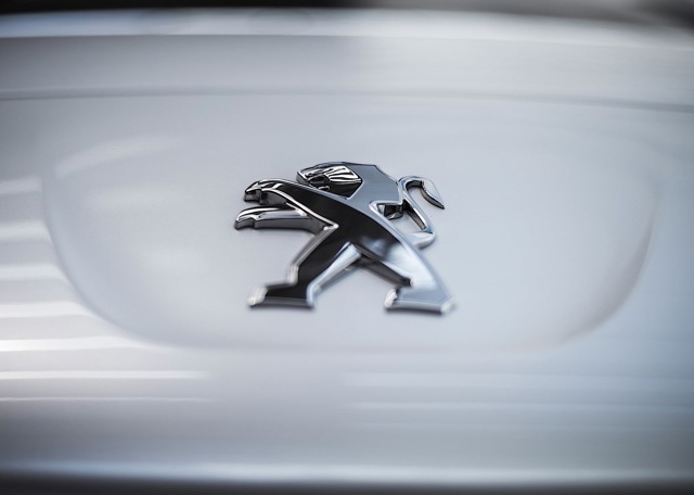 Peugeot Rcz Foto 27