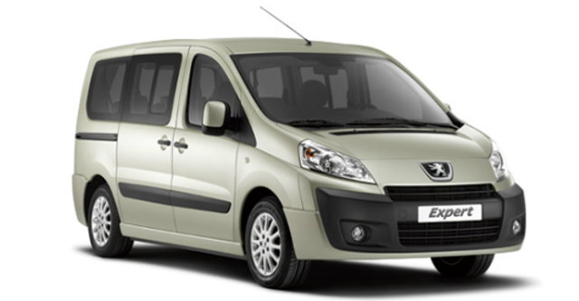 Peugeot Tepee foto 1