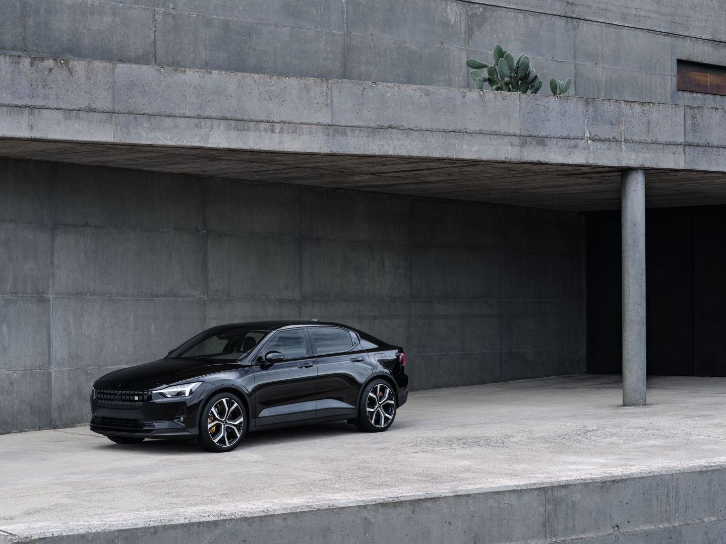 Polestar 2 photo 184