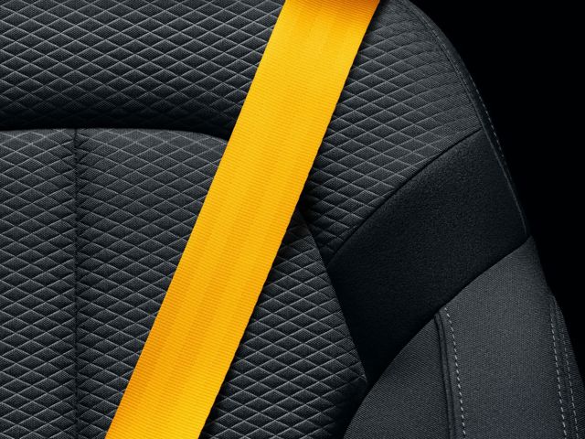 Polestar 2 foto 262