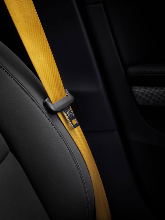 Polestar 2 foto 270