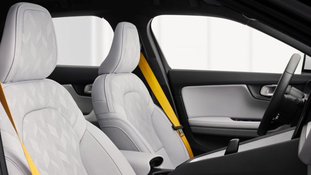 Polestar 2 foto 273