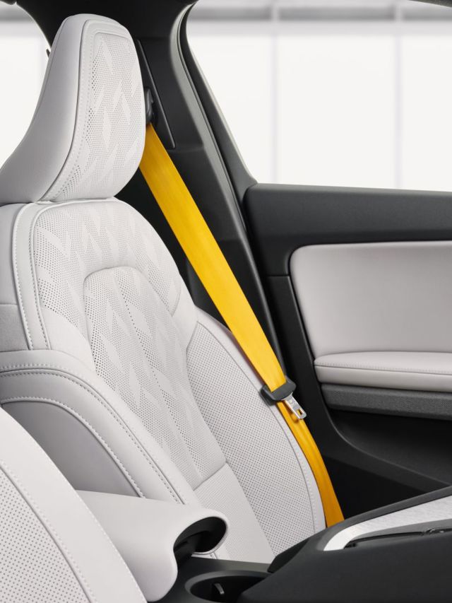 Polestar 2 foto 274