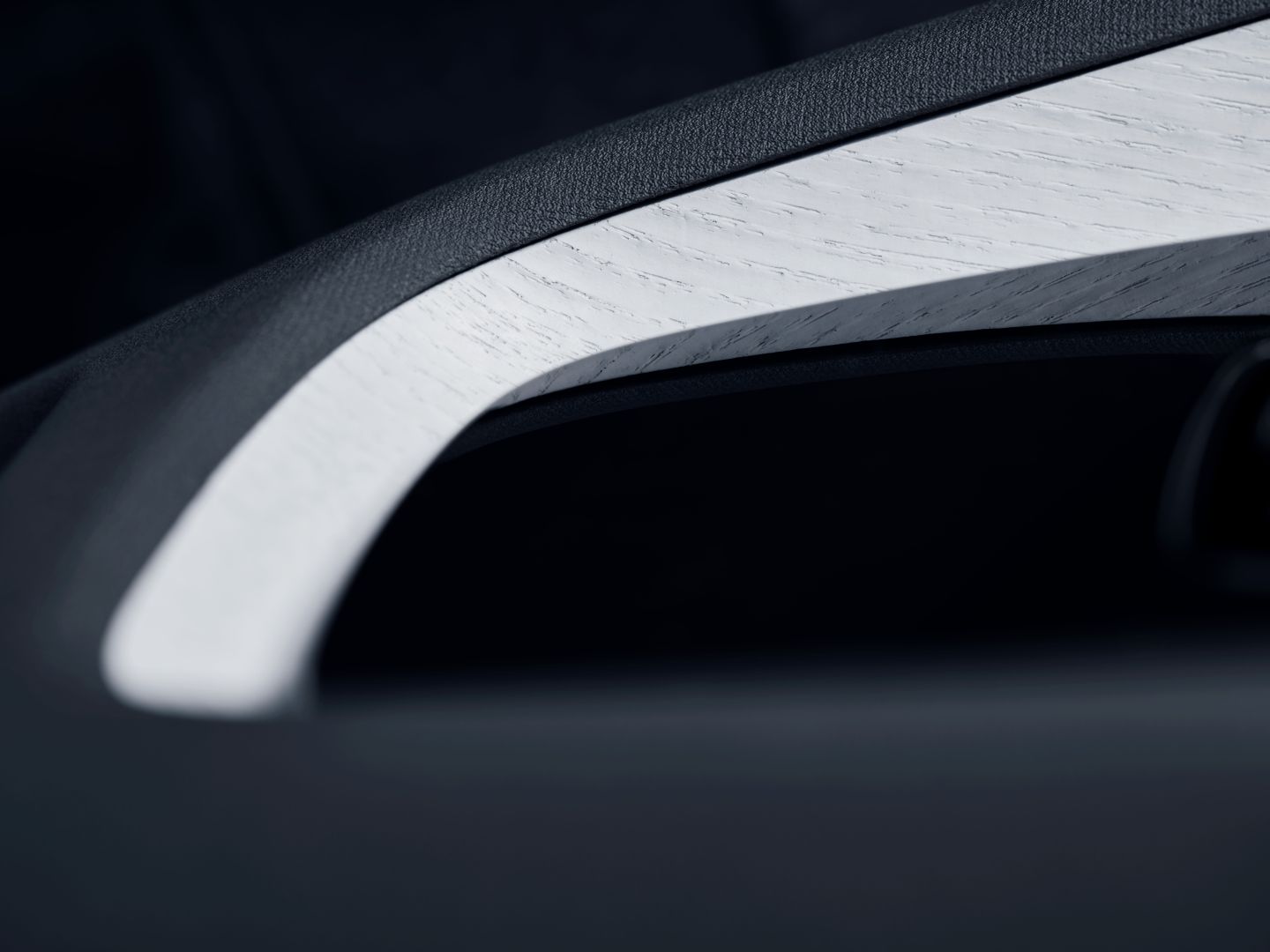 Polestar 2 photo 282