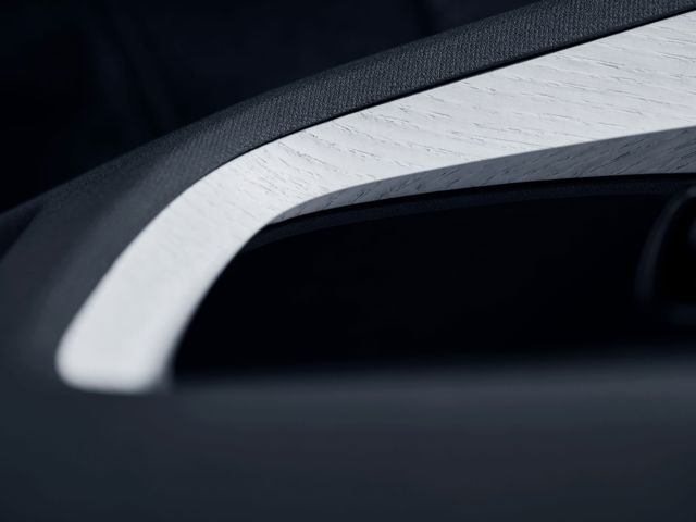 Polestar 2 foto 282