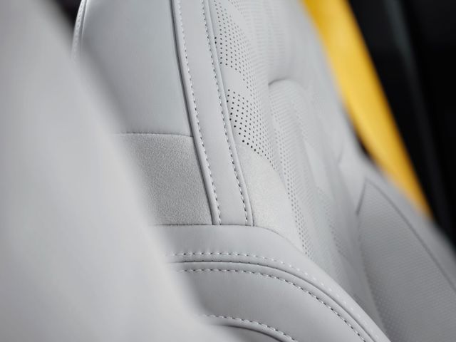 Polestar 2 foto 284