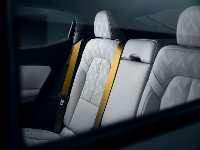 Polestar 2 foto 285
