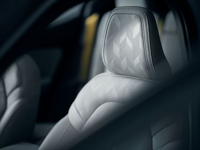 Polestar 2 foto 286