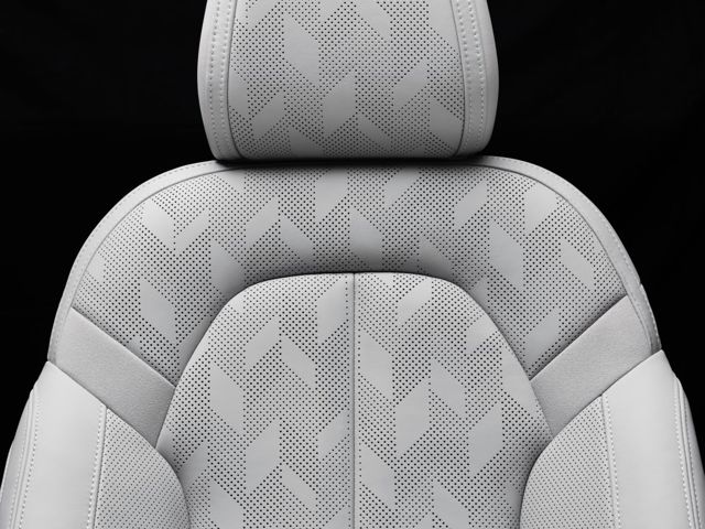 Polestar 2 foto 288