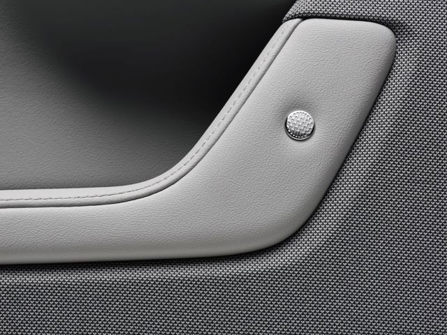 Polestar 2 foto 291