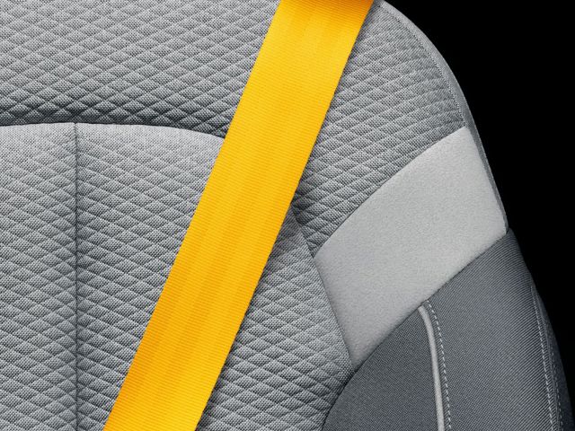 Polestar 2 foto 250