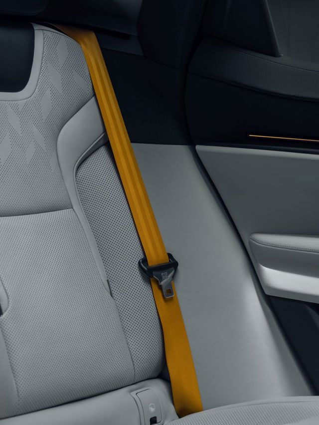 Polestar 3 foto 51
