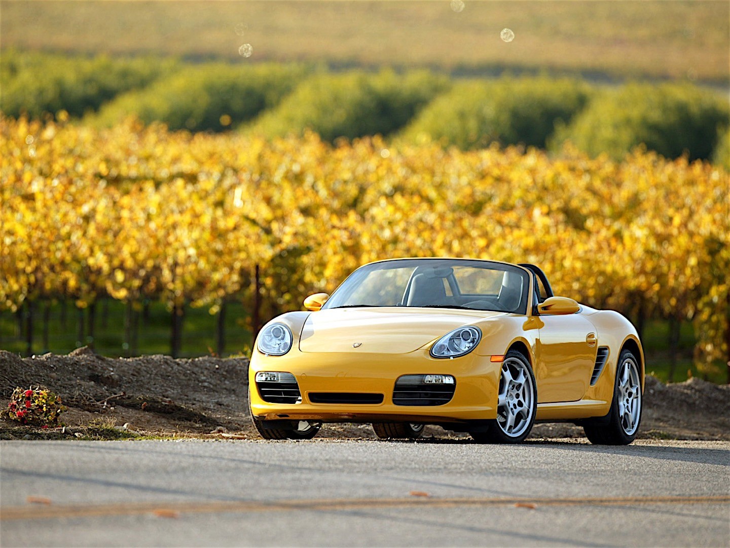 Porsche Boxster S photo 16