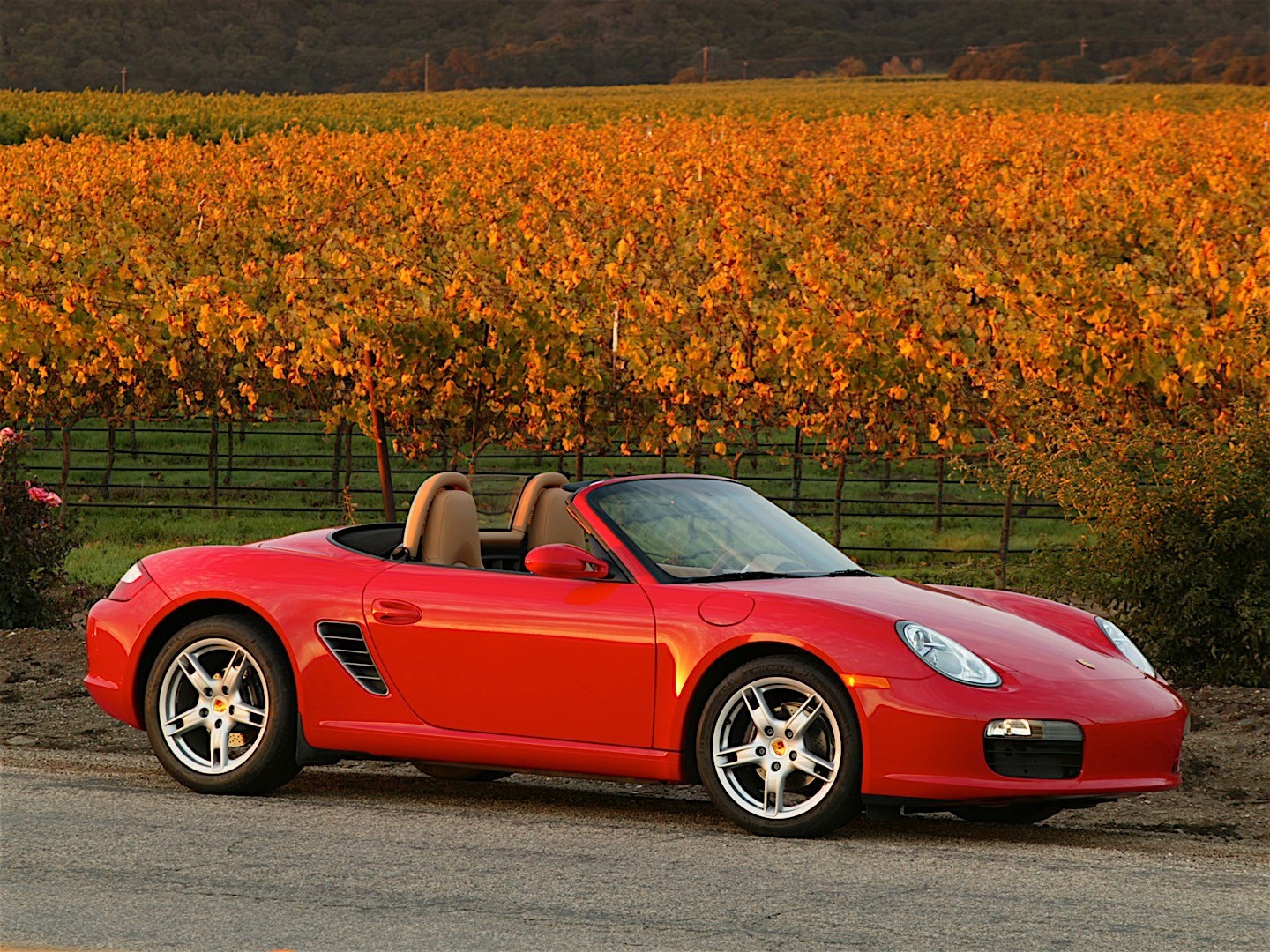 Porsche Boxster photo 30
