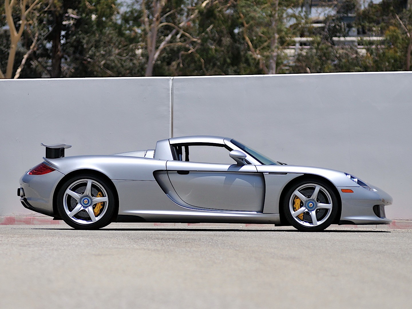 Porsche Carrera Gt photo 18