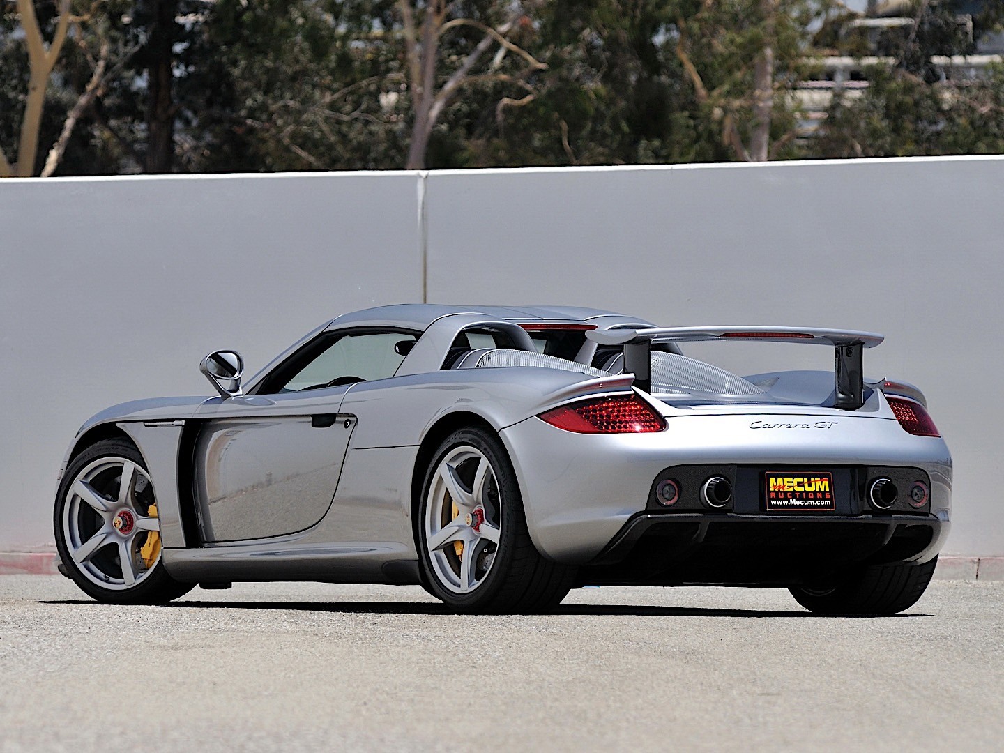 Porsche Carrera Gt photo 40